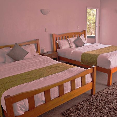 Newlands Court Motel Wellington Zewnętrze zdjęcie